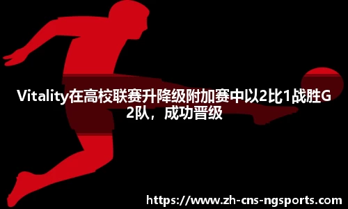 NG体育平台